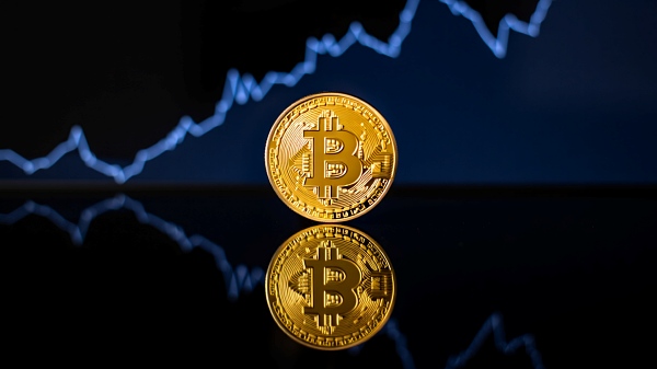 비트코인, 11만3000달러 아래로…증시 상승 속 크립토 시장 냉각