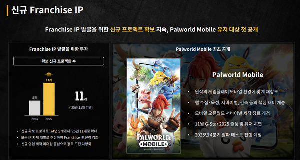 신규 프랜차이즈 IP [사진: 크래프톤 3분기 실적 자료 갈무리]