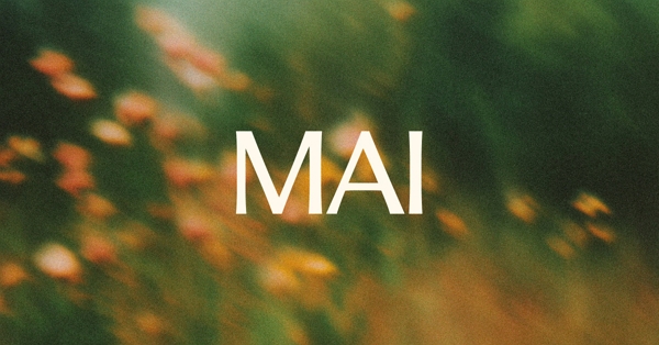 MS가 AI 이미지 생성 모델 마이-이미지-1를 공식 출시했다. [사진: MAI}