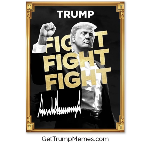 트럼프 밈코인, 90% 폭락 후 반등…2025년 말까지 70% 랠리 갈까