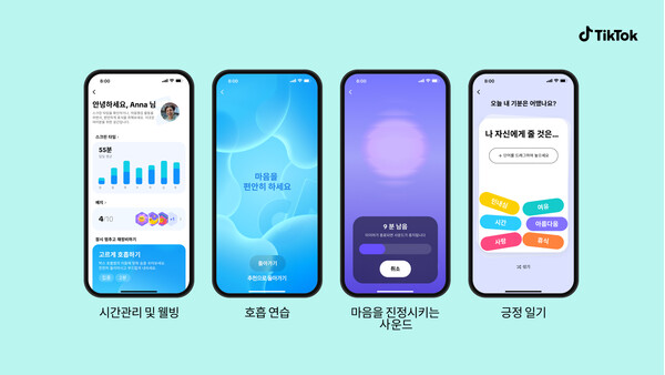 틱톡 시간관리 및 웰빙 섹션 [사진: 틱톡코리아]