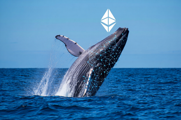 정체불명의 이더리움 고래가 다시 움직였다. [사진: Reve AI]