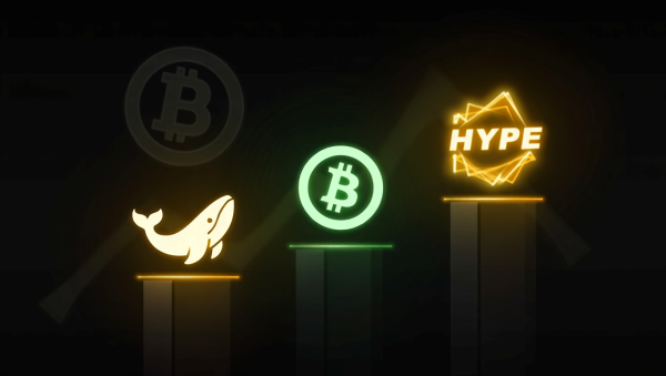 비트코인 하락장 속 투자 대안? '반사이익' 알트코인 3선