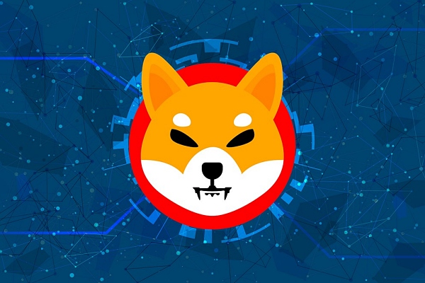 시바이누 고래, 3700억 SHIB 비트겟으로 이체…시장 출렁일까