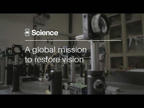 뉴럴링크 공동창업자 설립 두뇌 칩 스타트업, 2억3000만달러 규모 투자... - 뉴스 썸네일 이미지