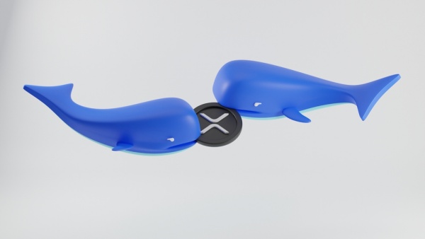 XRP 폭락 이후 대규모 매수세 포착…41억8000만개 매집