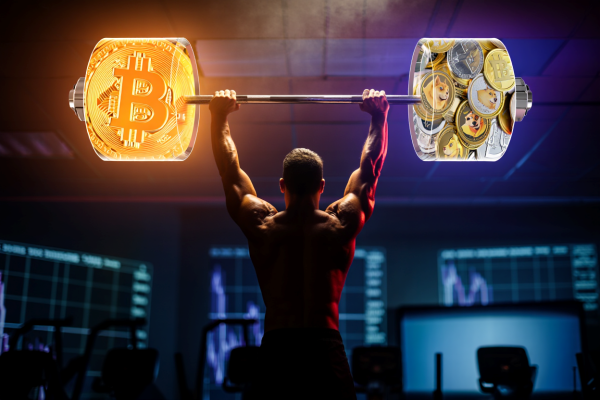 뛰는 비트코인·이더리움 위에 나는 밈코인…시장 뒤흔든 '바벨 전략'