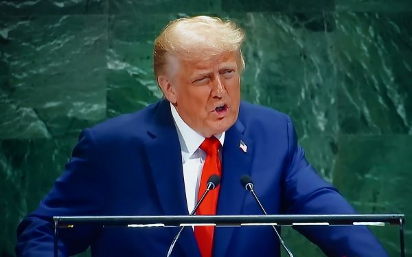 트럼프 밈코인, 큰 손 투자자 급증…100만개 보유 지갑 5개월만 최고치