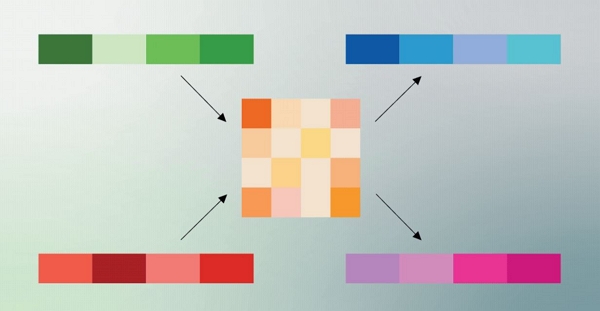 AI 압축 알고리즘 관련 이미지