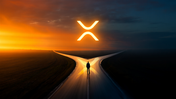 美 예탁결제원-스텔라 파트너십, XRP 퇴출 신호?…업계선 